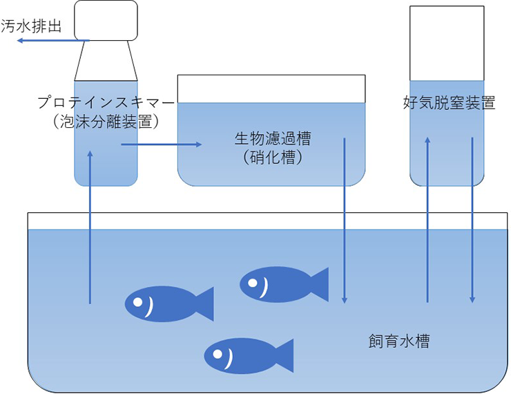 特許システムについて